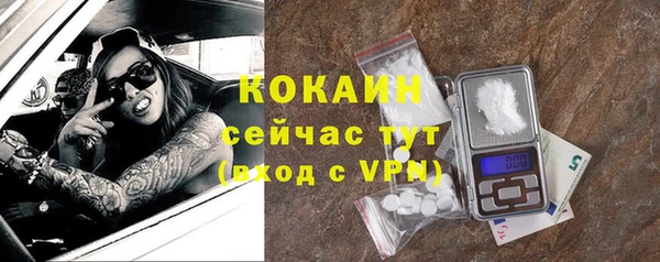 прущие грибы Армянск
