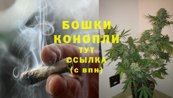 гашик Арсеньев