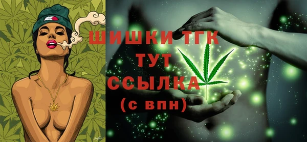 гашик Арсеньев